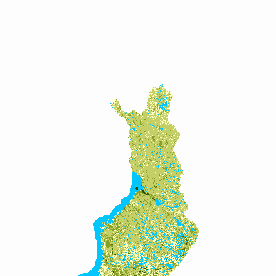 Export Image